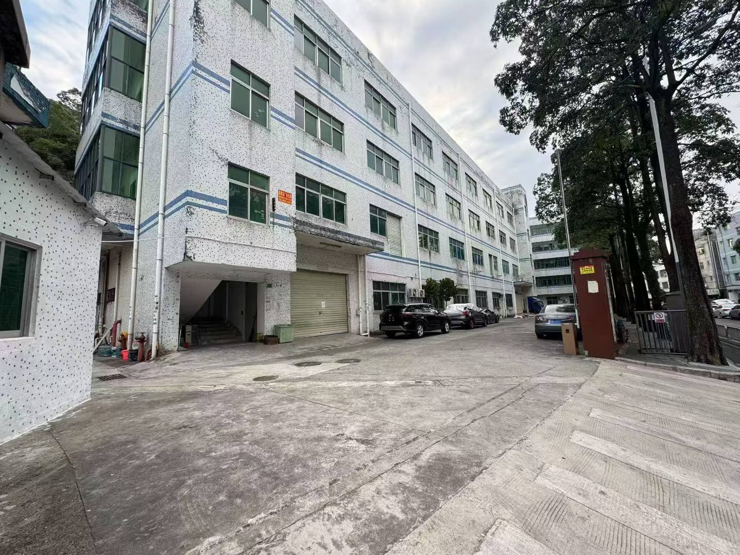 西坑社区凤凰路3号一楼1200平，宿舍两层，原房东直租！