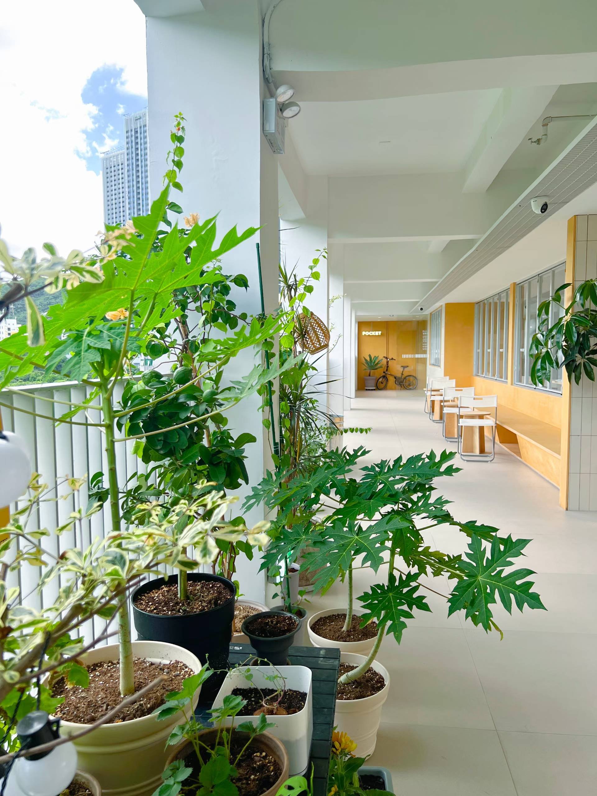重大消息新增采光超小户型项目4-6人间/1+1-拎包入住欢迎上客️️