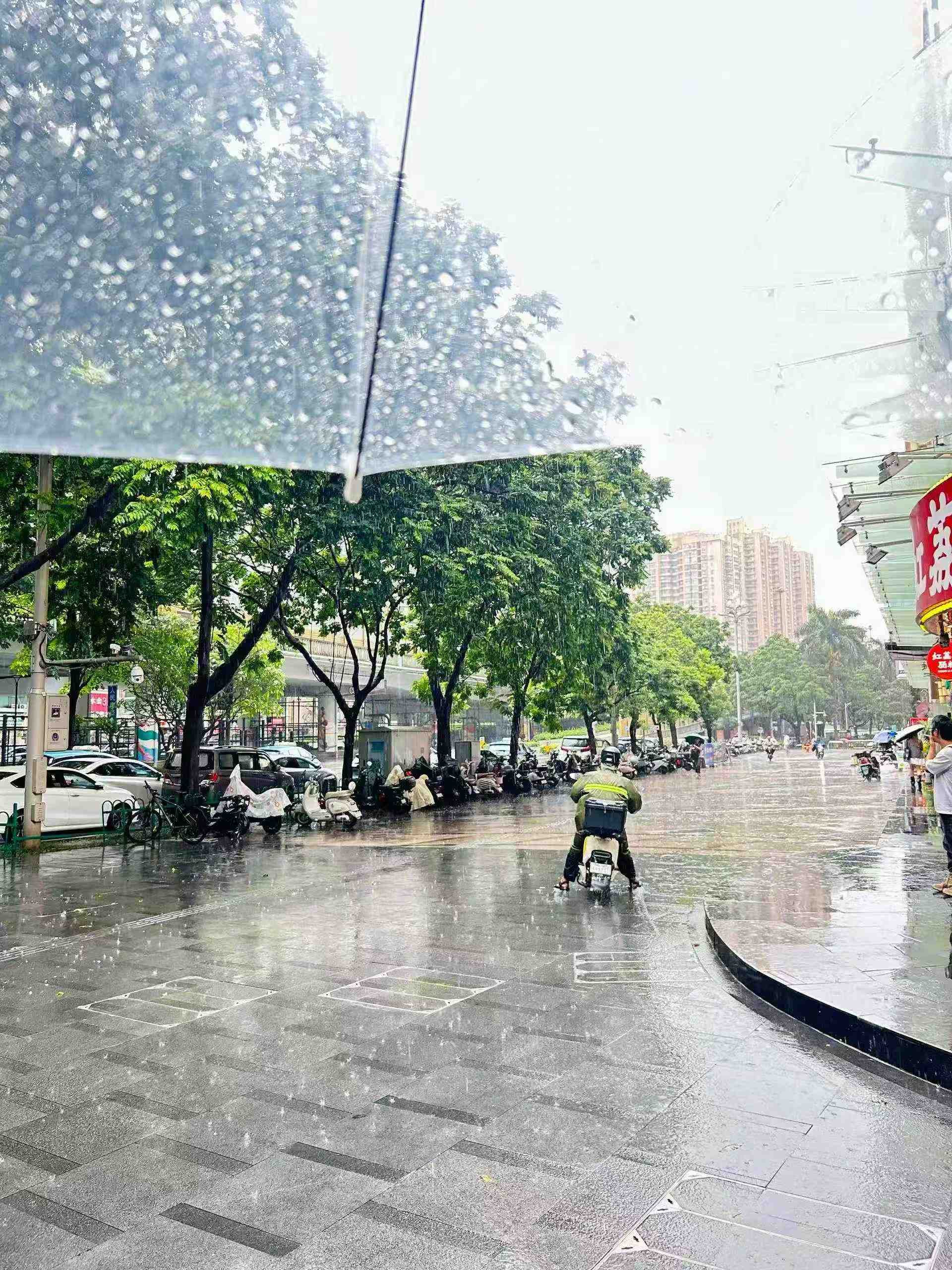 港硕学生看房 风雨无阻 包接送