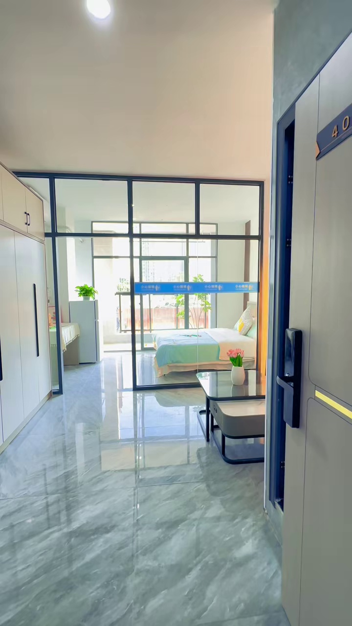 大运中心地铁站电梯大阳台一房一厅1880