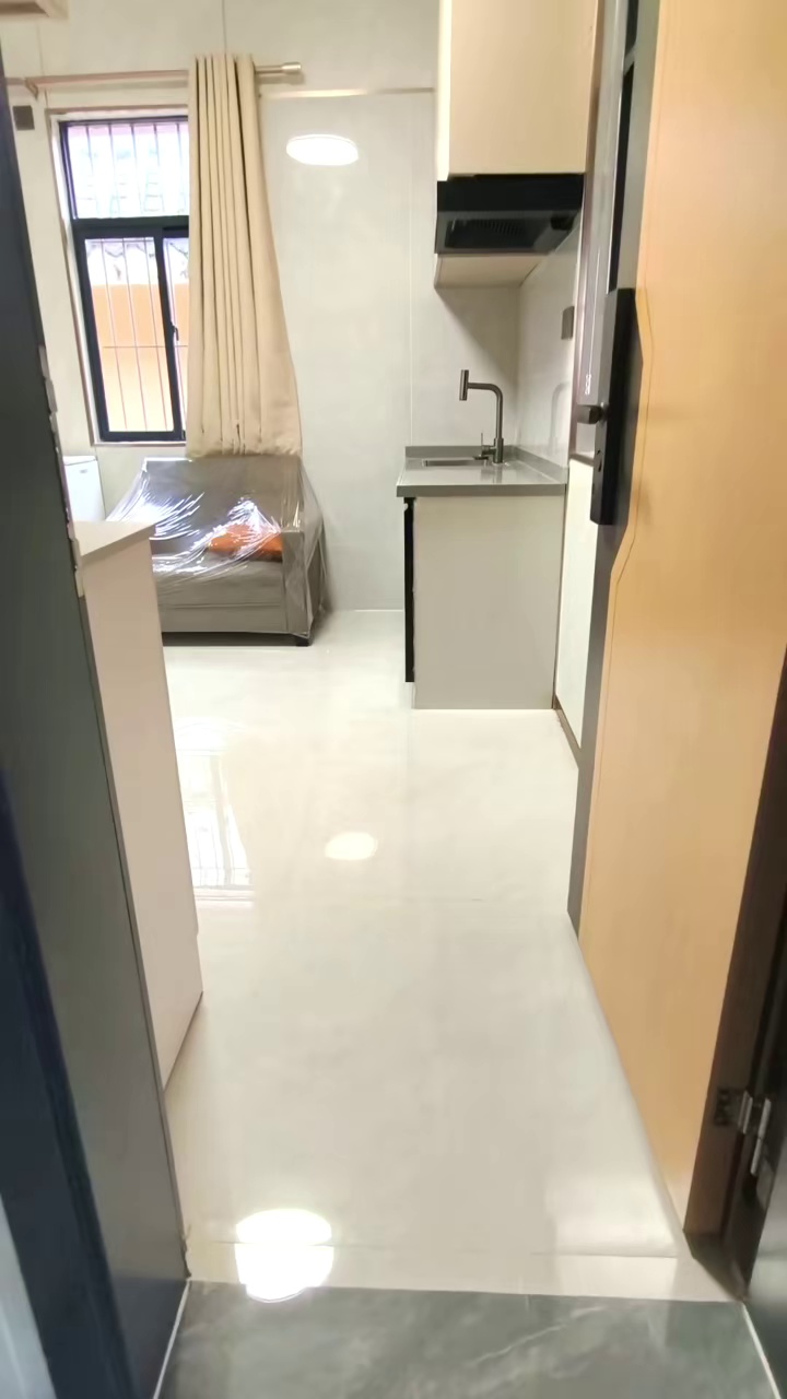 观澜长湖地铁站300米龙华中心医院银星科技园观澜二中一房一厅1580