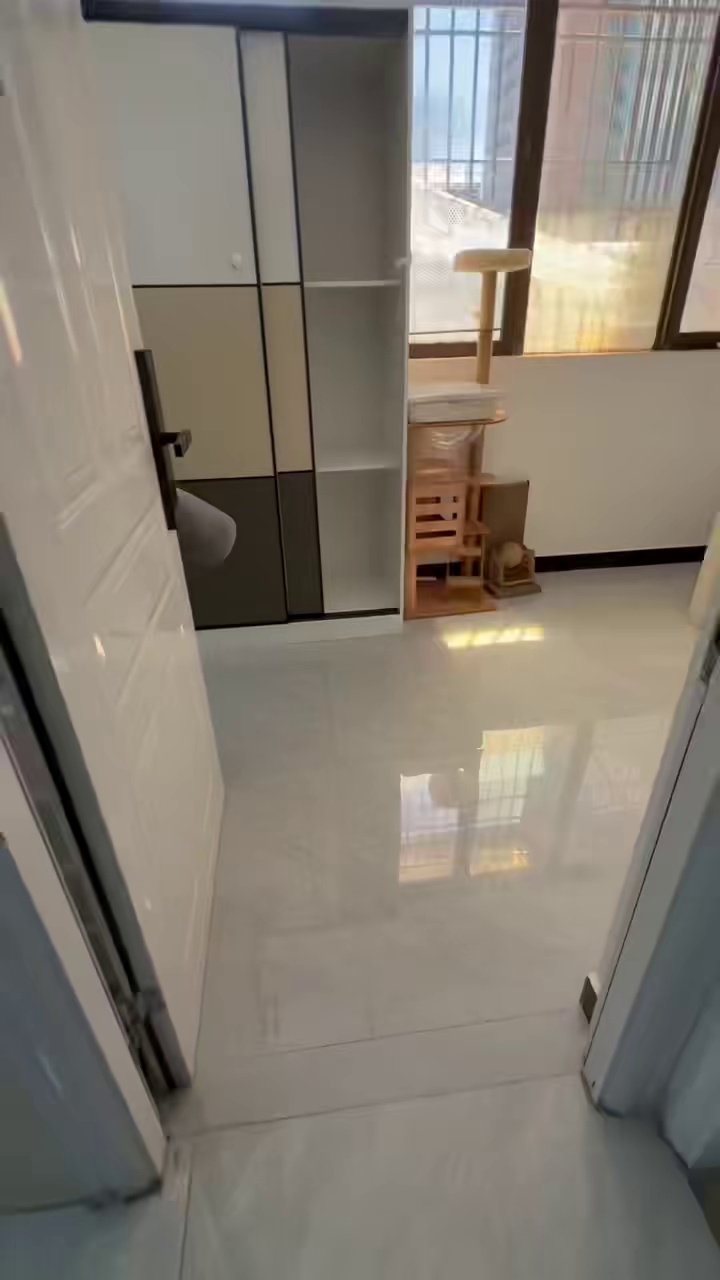 大新地铁站小区一房一厅3360