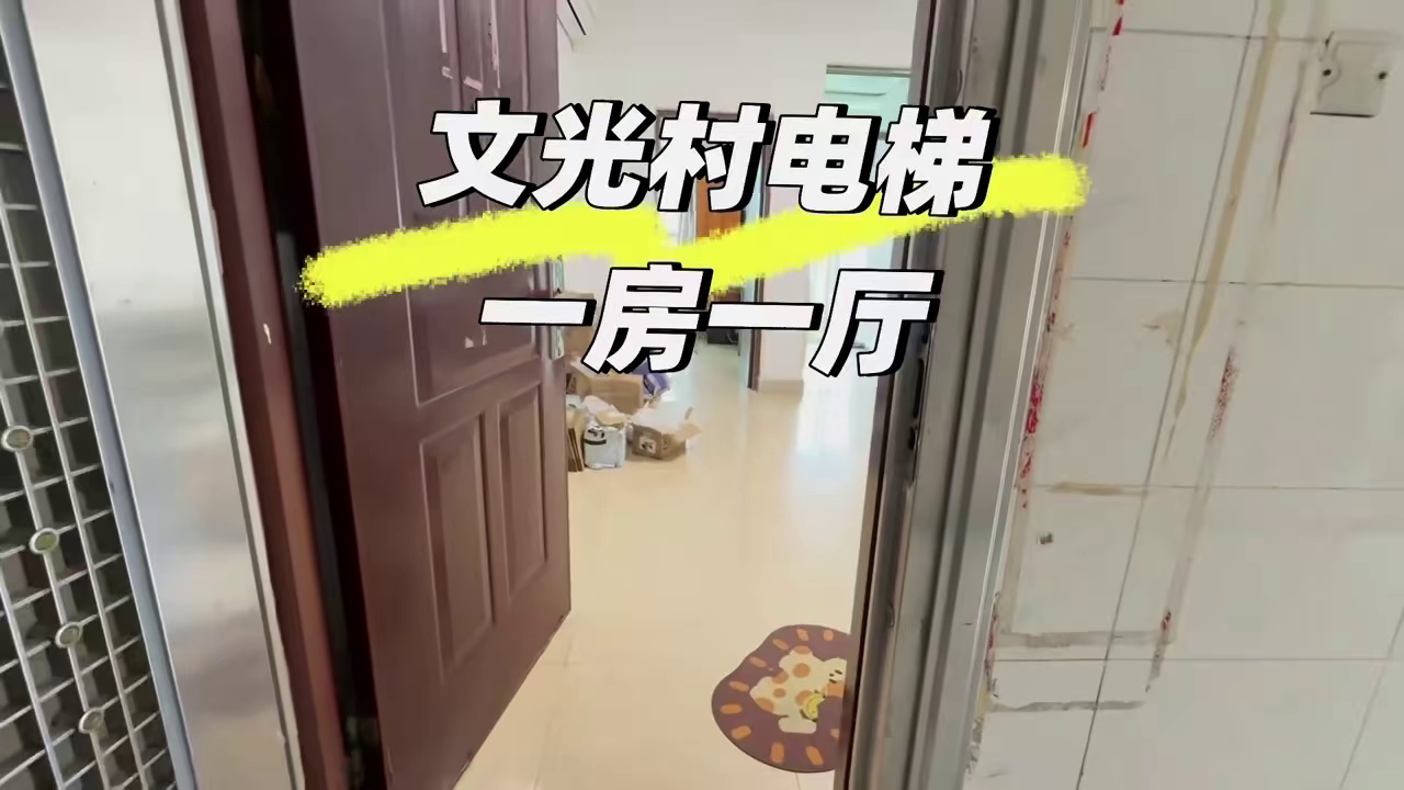 文光村电梯一房一厅租4100采光无敌