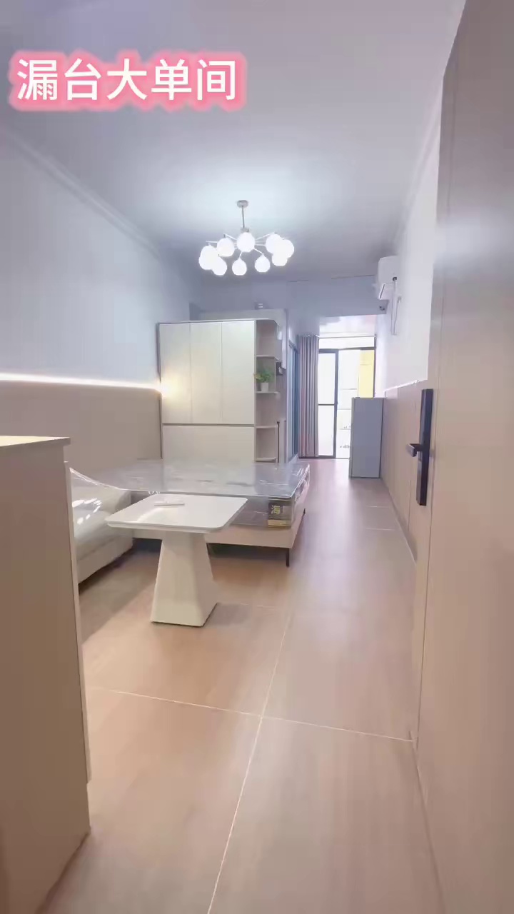 布心地铁站 带露台大单间 2580