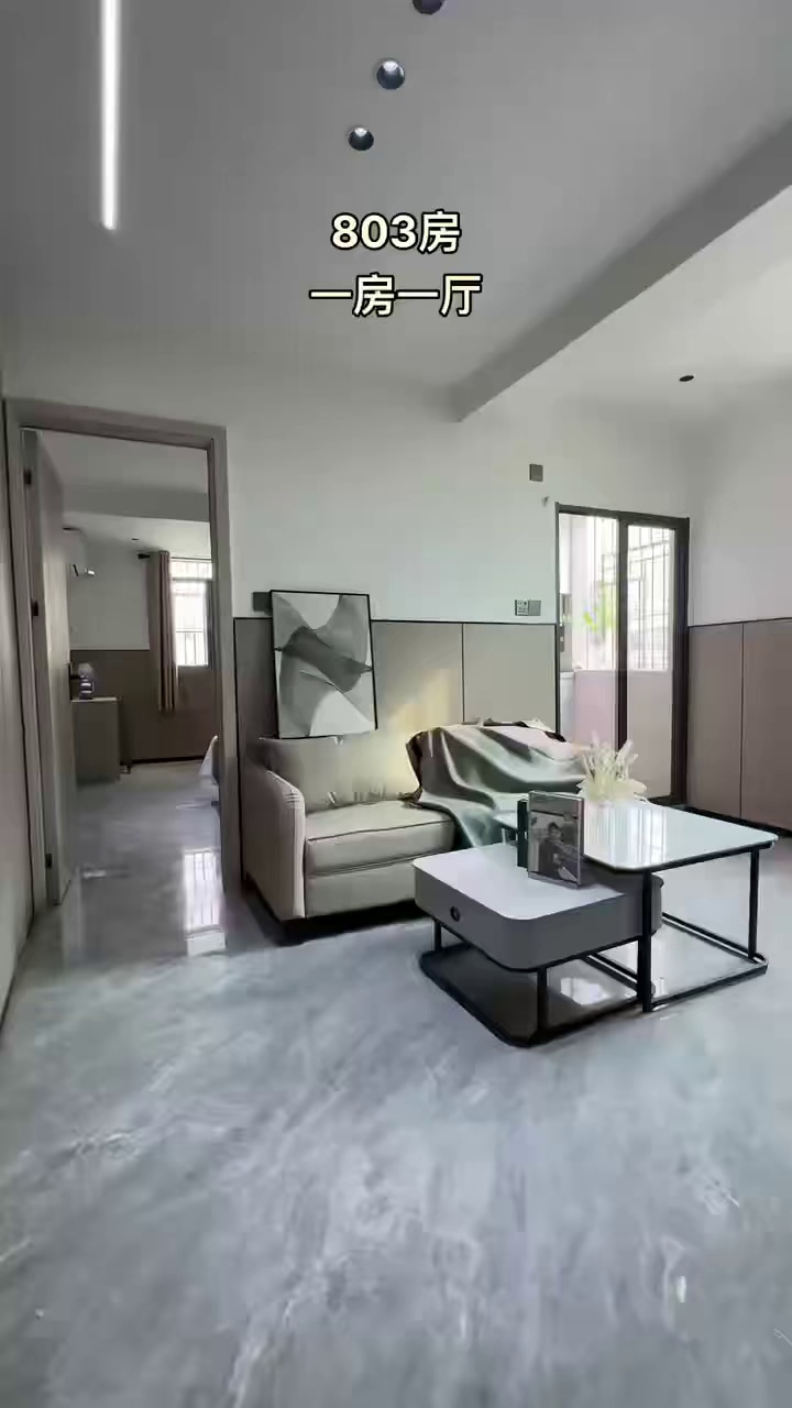 公明上村豪华电梯一房一厅1780