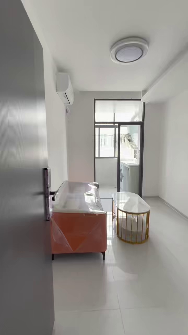 大新地铁口,精装一房一厅3300