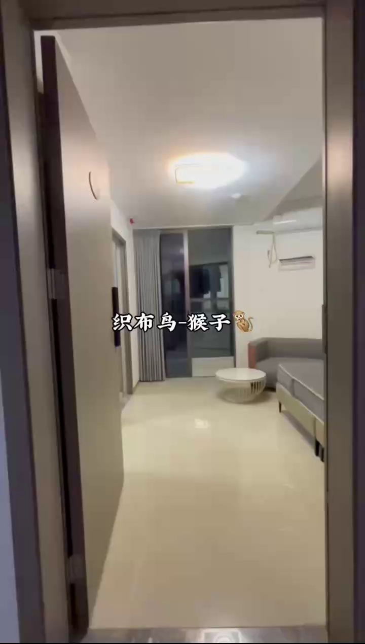 14号线 罗湖北站 电梯单间带阳台 民水民电带地库停车 租2572