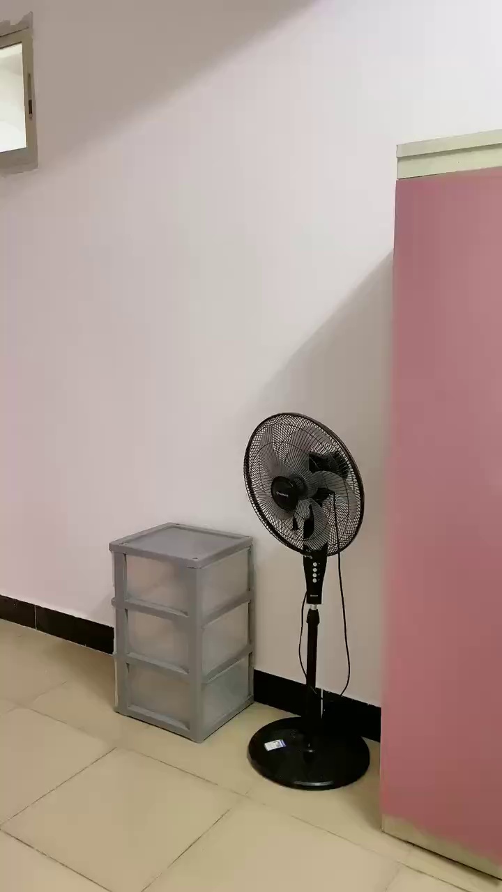 :松岗楼岗南天虹 :大单间带阳台 :650