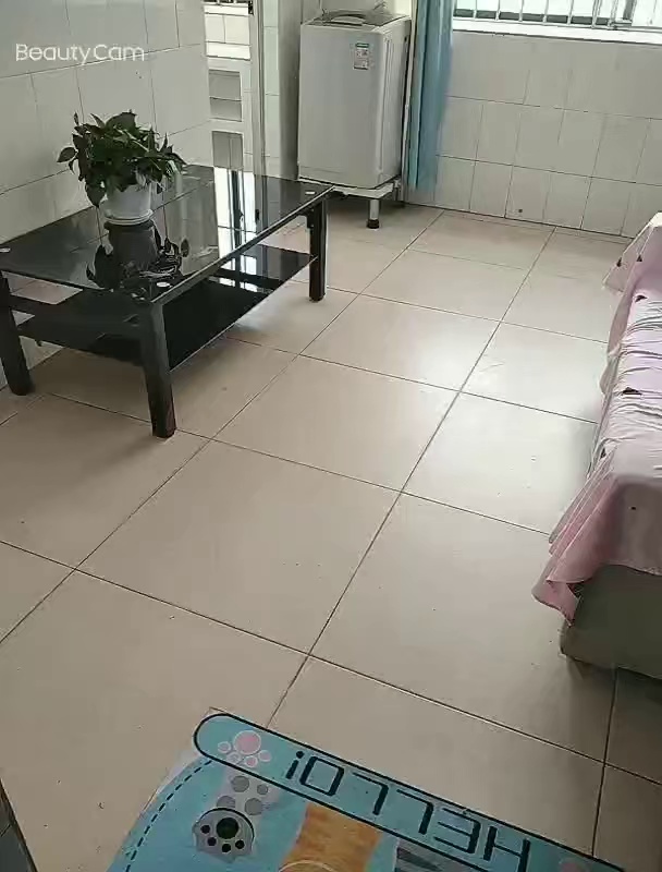 杨美一房一厅1900