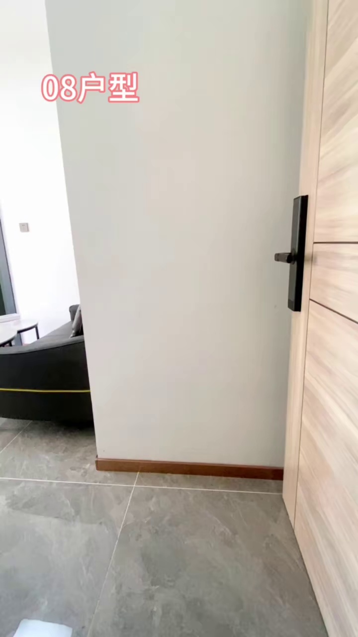 民治地铁口 电梯精装一房一厅2680全包