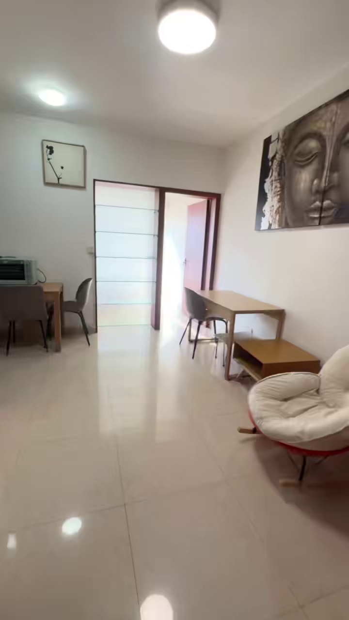 大剧院,超大一房一厅4300